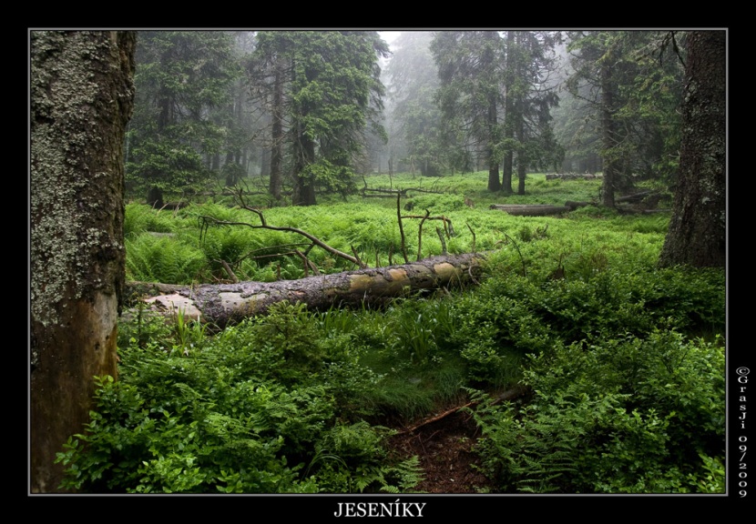Jeseniky-08.2009_web kvalita.jpg