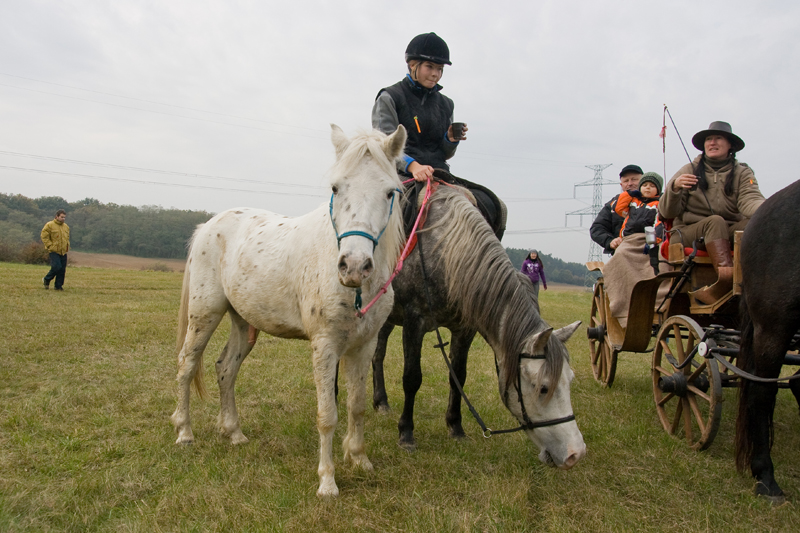 Hubertova_jizda-Vemyslice-10.23.2010-182