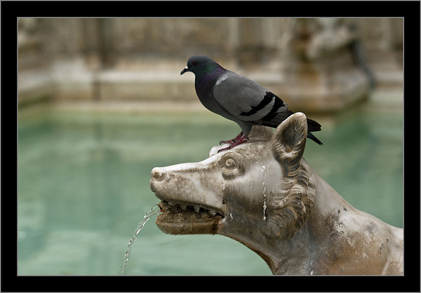 Italie_10