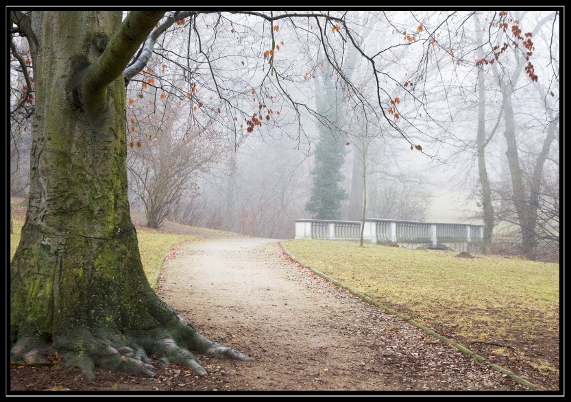 park1