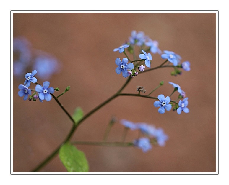 IMG_2676-s10
