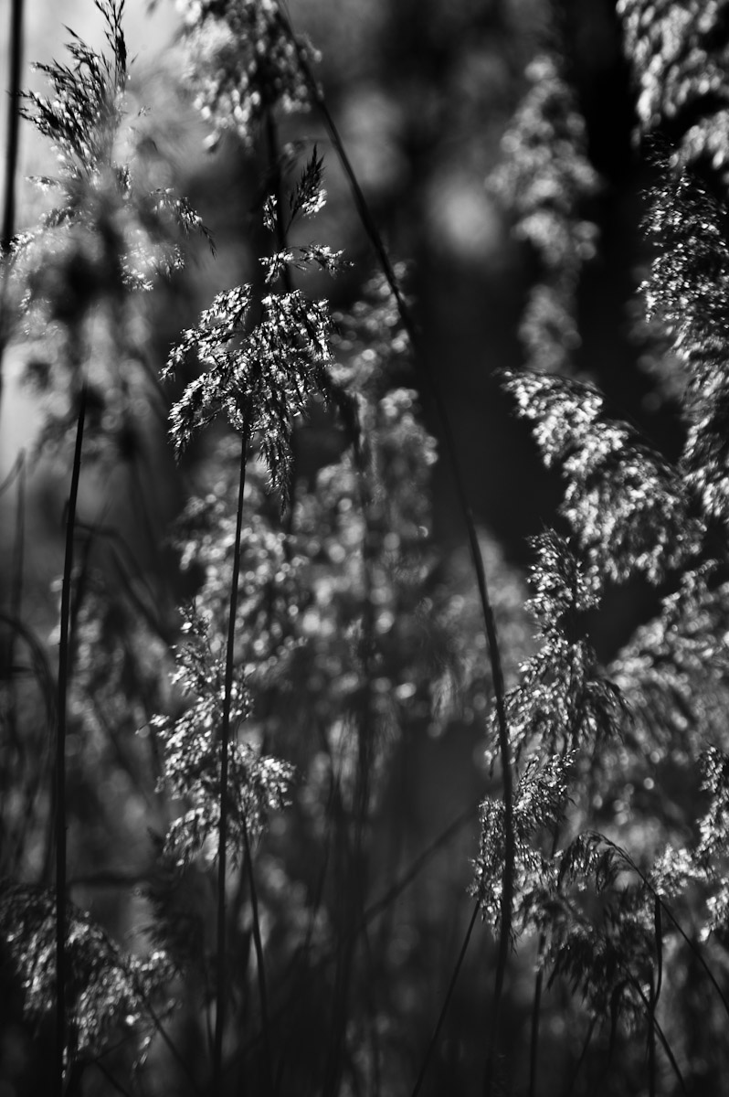 _ND39840