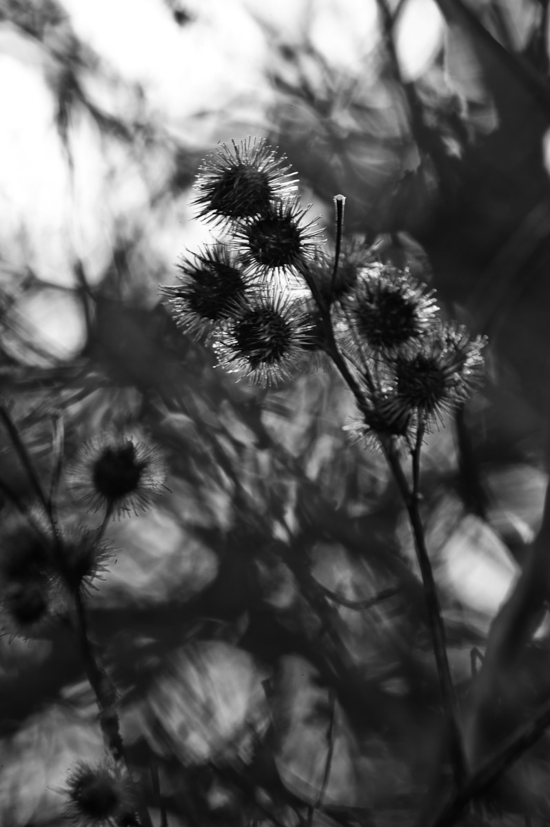 _ND39867