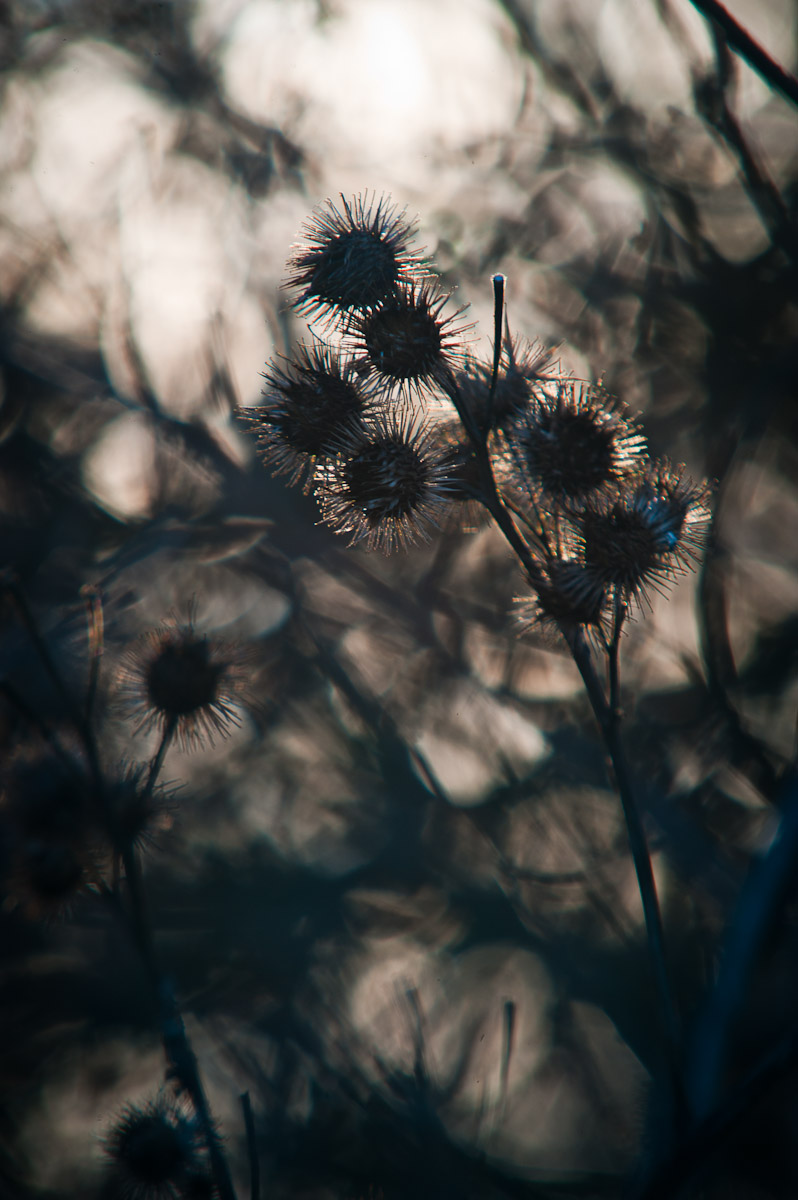 _ND39876-2